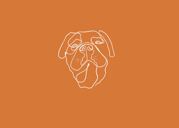 orange, snout, graphics