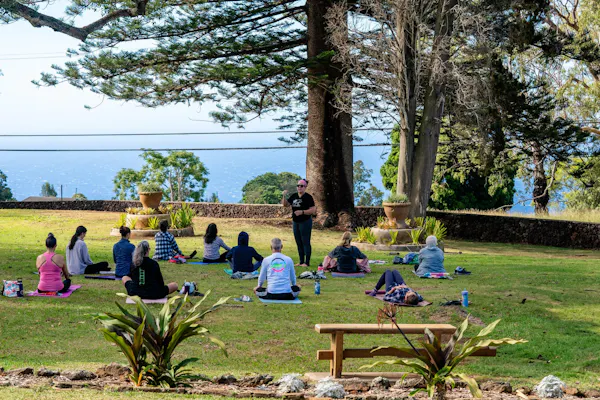 tree, recreation, leisure, trunk, garden, lawn