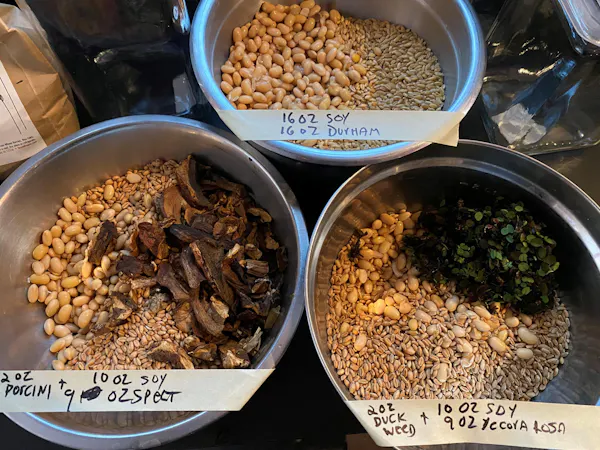 food, ingredient, produce, mixture, nuts & seeds, bowl