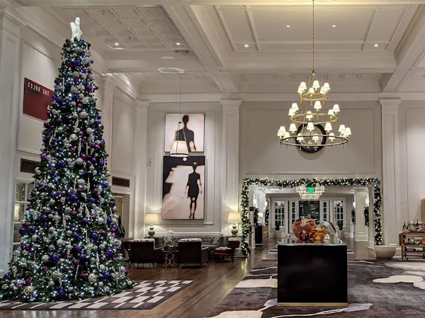 christmas tree, lighting, decoration, ornament, plant, door