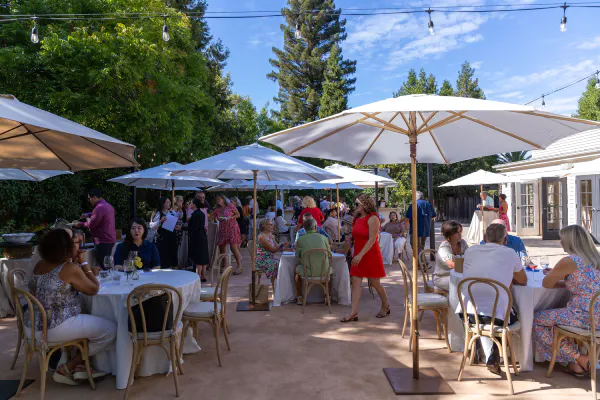 umbrella, event, tent, canopy, leisure, shade