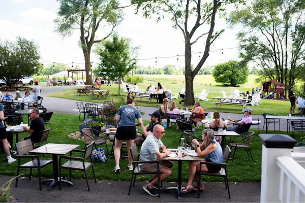 furniture, tree, outdoor furniture, table, chair, public space