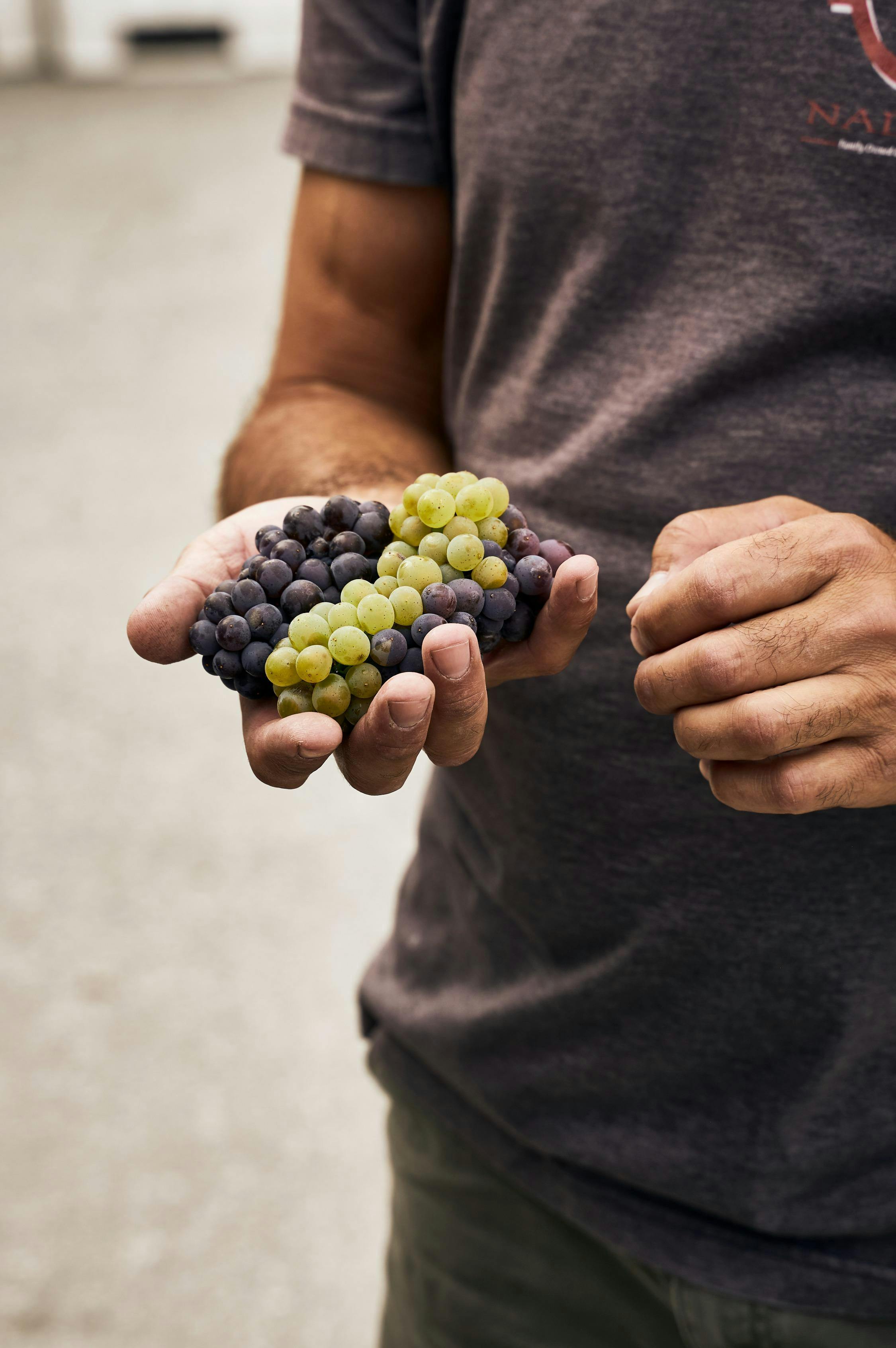 Lake Breeze Vineyards - Naramata