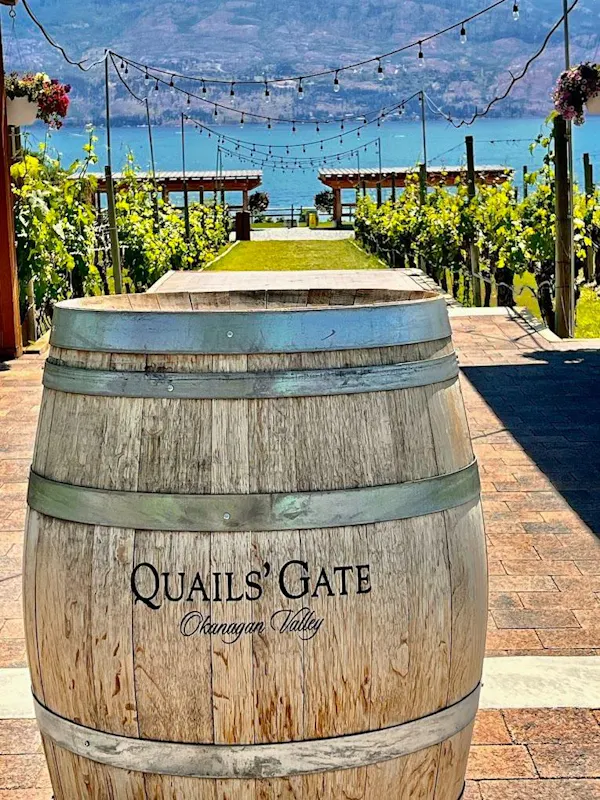 barrel, winery, keg, agriculture, plantation, wood stain