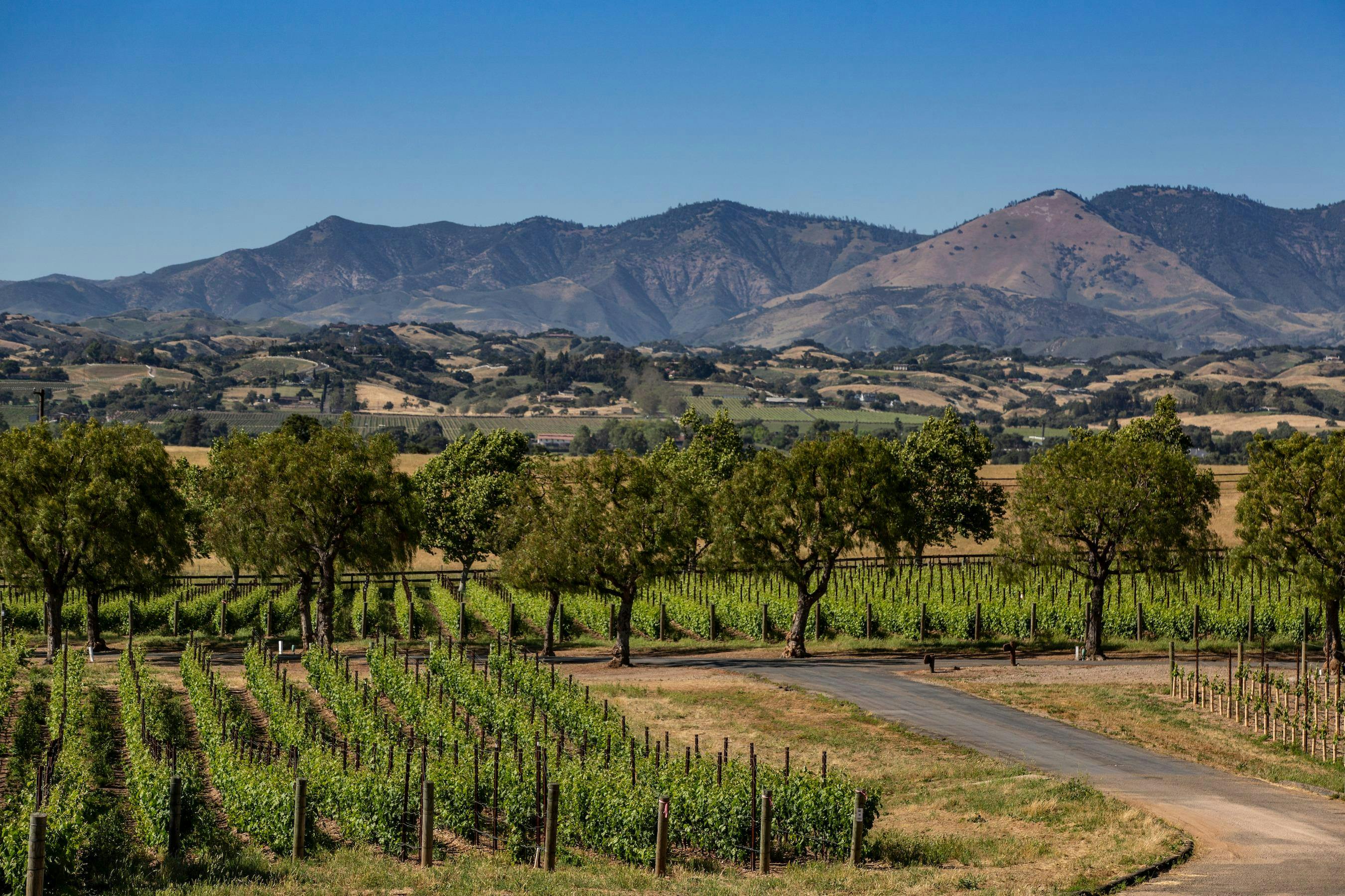 Gainey Estate Vineyards & Tasting Room