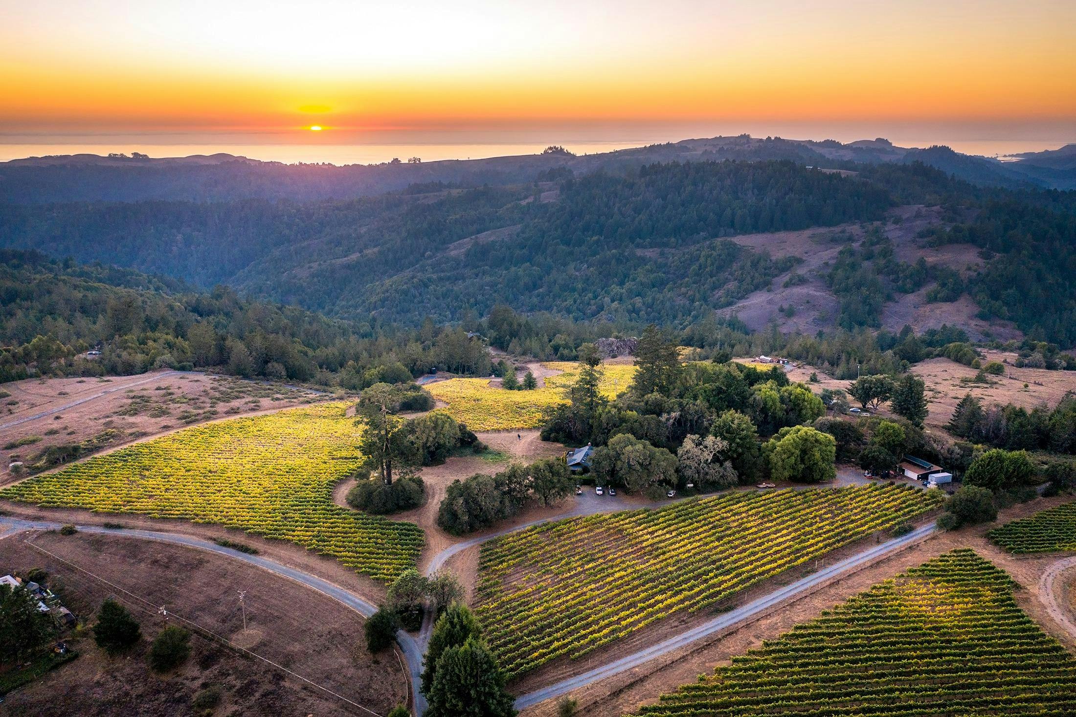 Cobb Wines