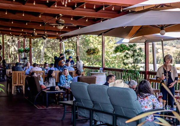 furniture, plant, chair, leisure, shade, public space