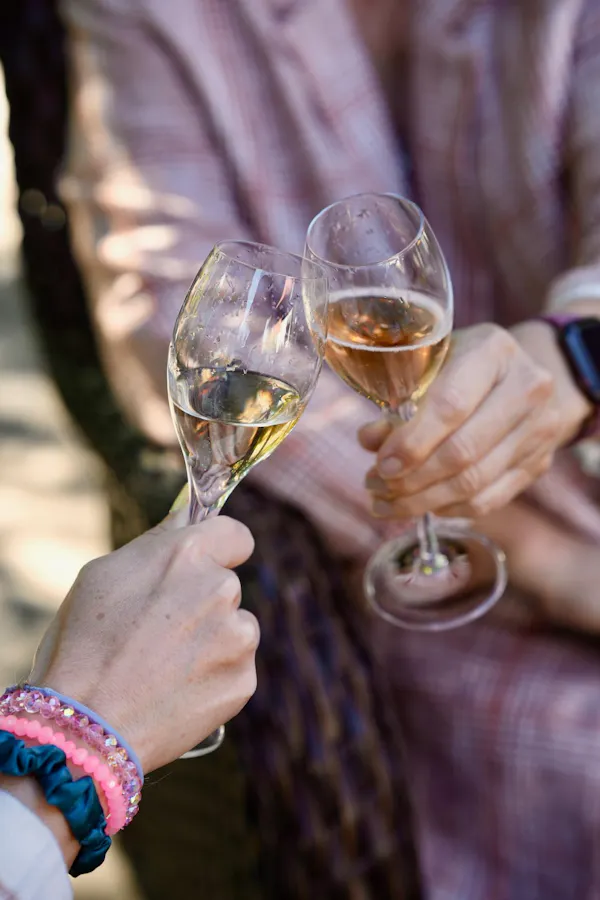 stemware, tableware, drinkware, wine glass, alcoholic drink, champagne glass