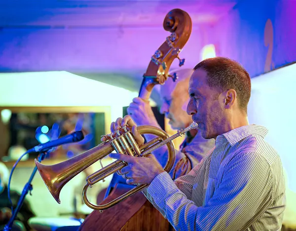 musical instrument, brass instrument, performing arts, entertainment, music, musician