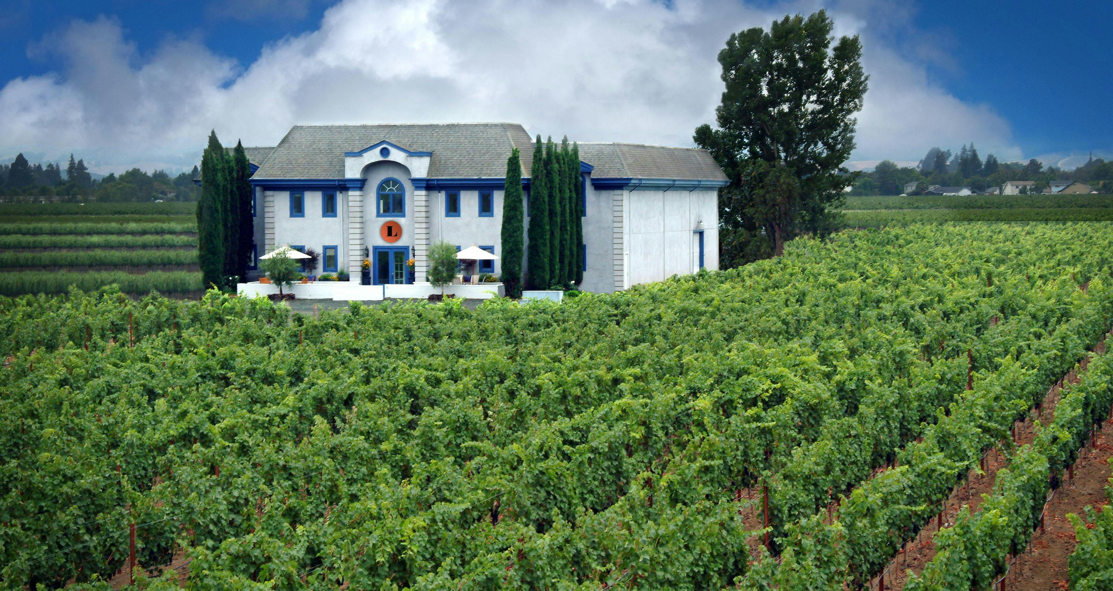 Lewis Cellars