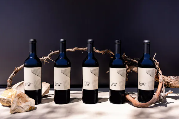 bottle, alcoholic drink, glass bottle, wine bottle, alcohol, wine