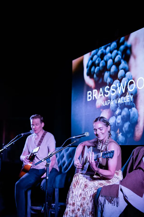 audio equipment, performing arts, entertainment, chordophone, musical instrument, performance