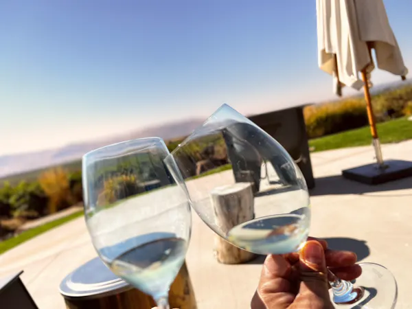 tableware, stemware, drinkware, wine glass, alcoholic drink, champagne glass
