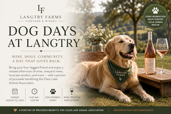dog, carnivores, canidae, working animal, collar, pet supply