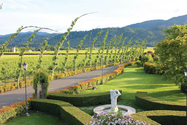 green, plants, landscape, garden, land lot, plantation