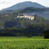 Sterling Vineyards