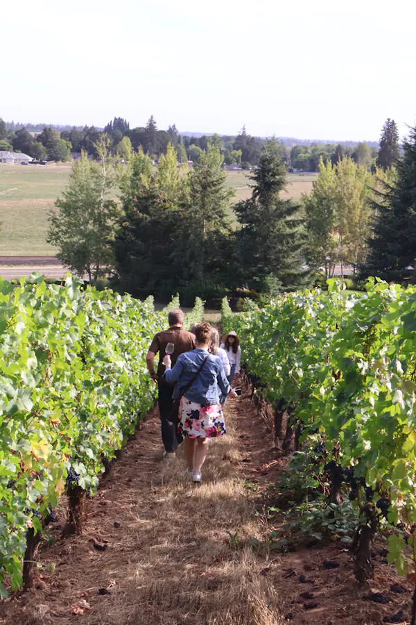 people in nature, agriculture, plantation, leisure, vacation, vineyard
