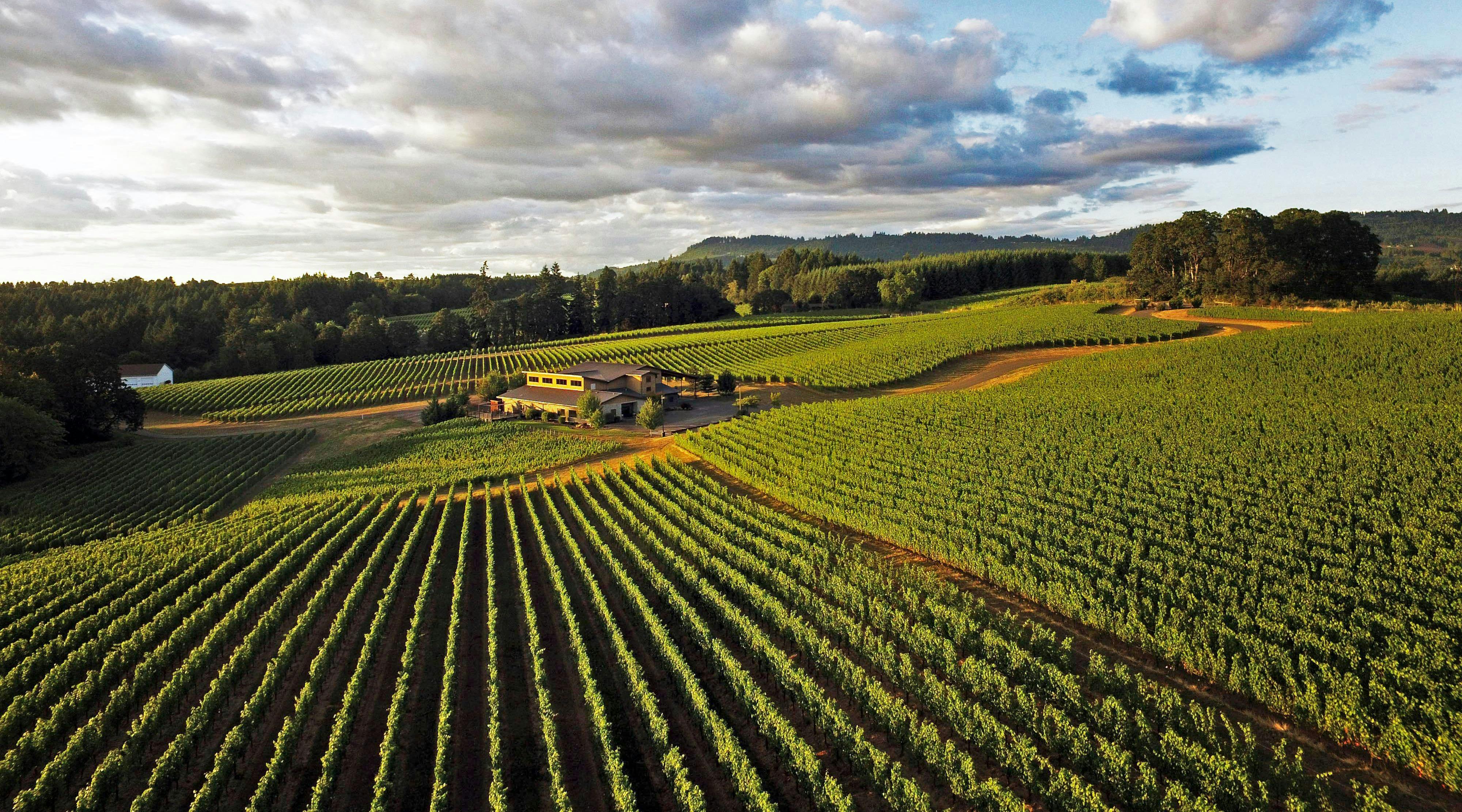 Trisaetum Winery & Brixeur Spirits