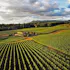 Trisaetum Winery & Brixeur Spirits
