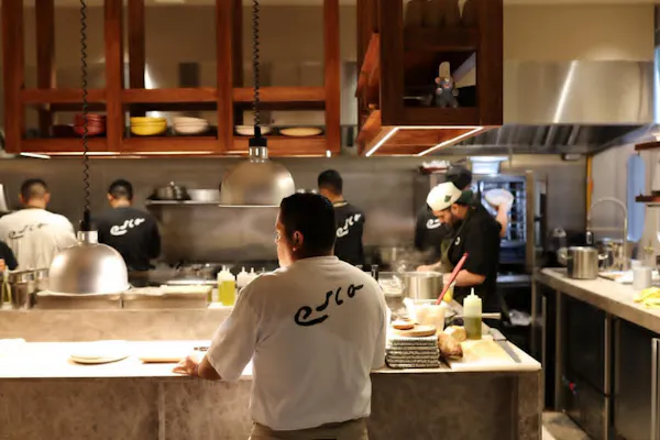 kitchen, chef, countertop, cook, cooking, food