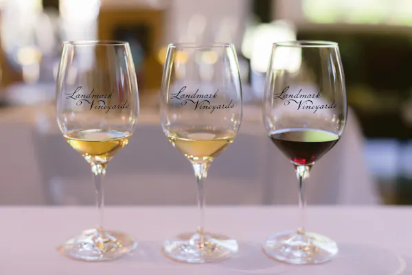 stemware, tableware, wine glass, drinkware, barware, champagne glass