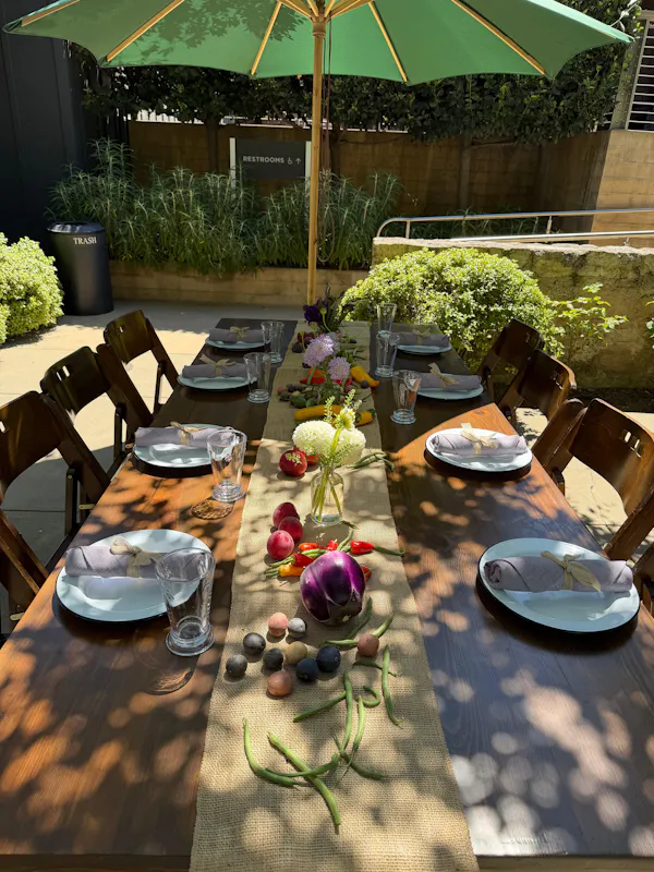 furniture, table, tableware, chair, tablecloth, flowerpot