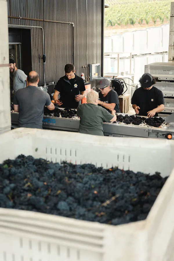 winery