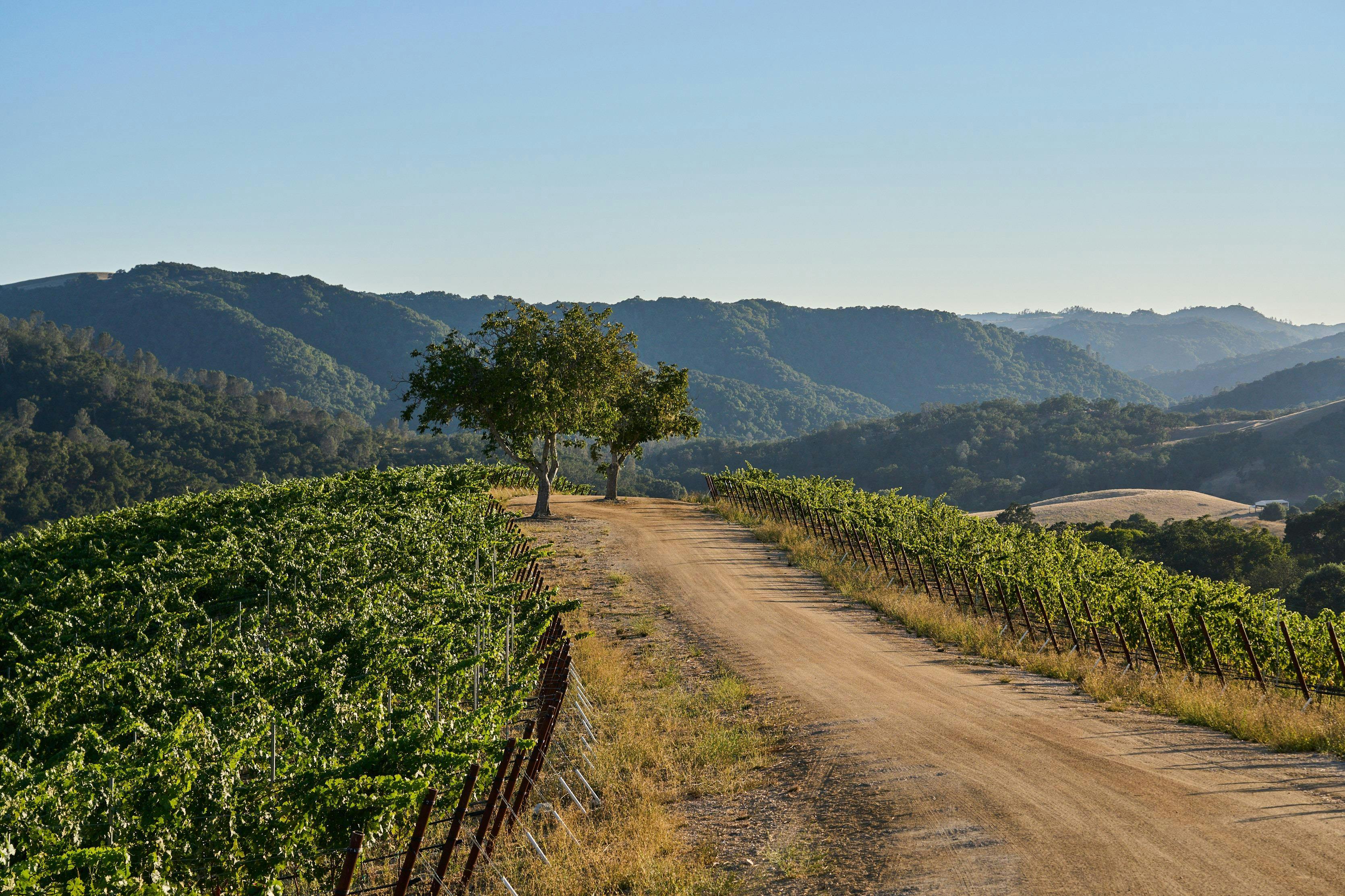 San Simeon Estate