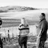 Stolpman Vineyards
