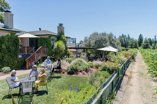 shrub, garden, leisure, umbrella, landscaping, yard