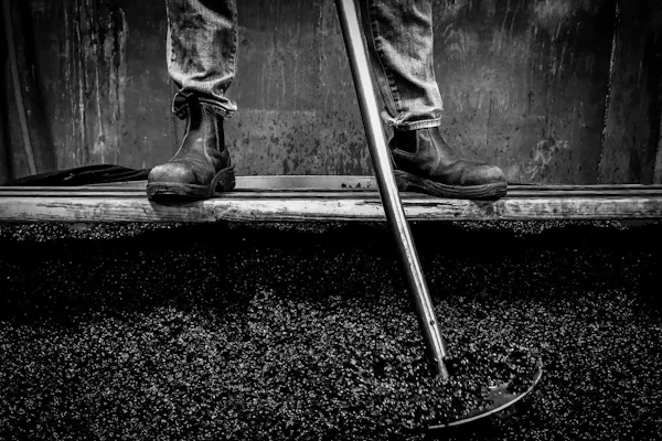footwear, shoe, white, leg, black, road surface