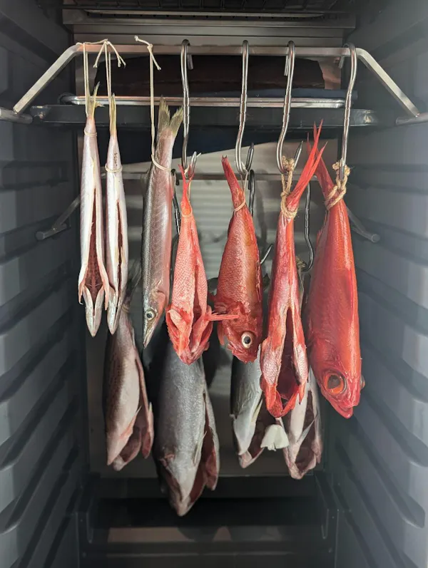 fish, seafood, food, ingredient, fish products