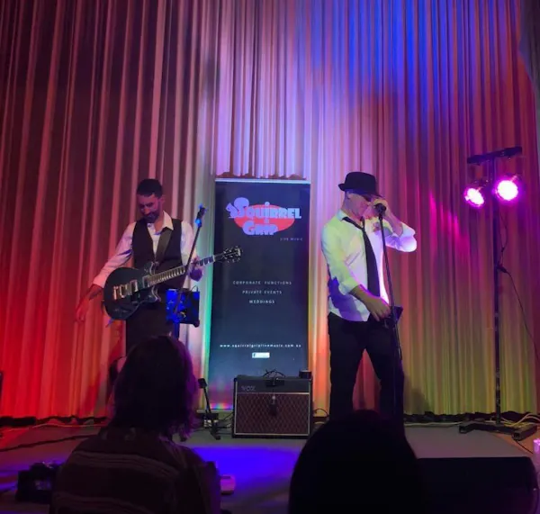 clothing, musical instrument, performing arts, chordophone, entertainment, performance
