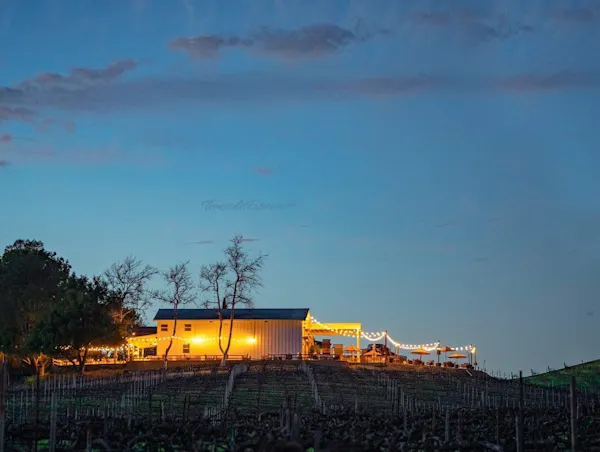 agriculture, shade, evening