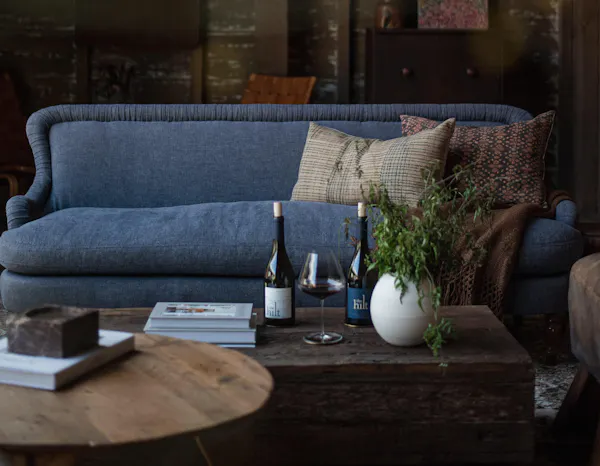couch, table, furniture, plant, azure, wood