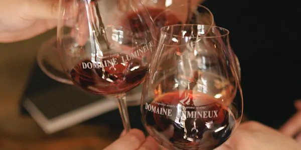 stemware, tableware, drinkware, barware, wine glass, alcoholic drink