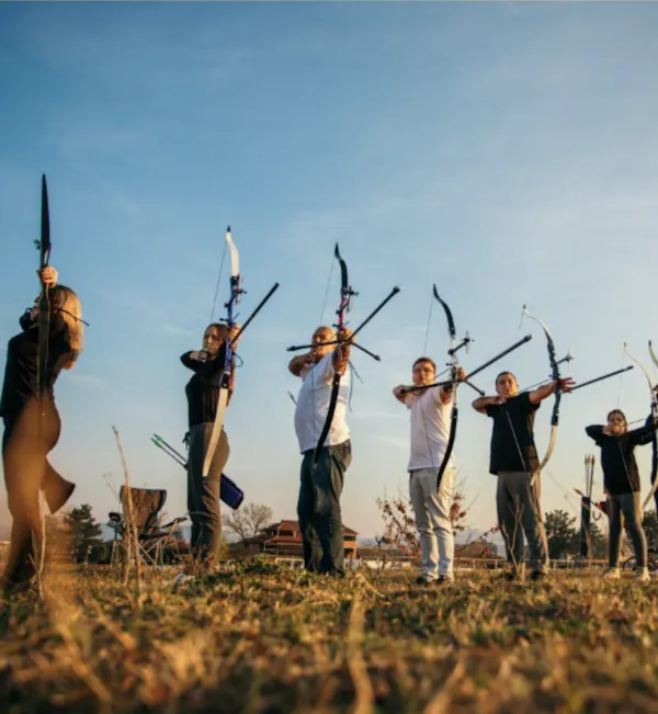 bow, bow and arrow, archery, recreation, field archery, arrow