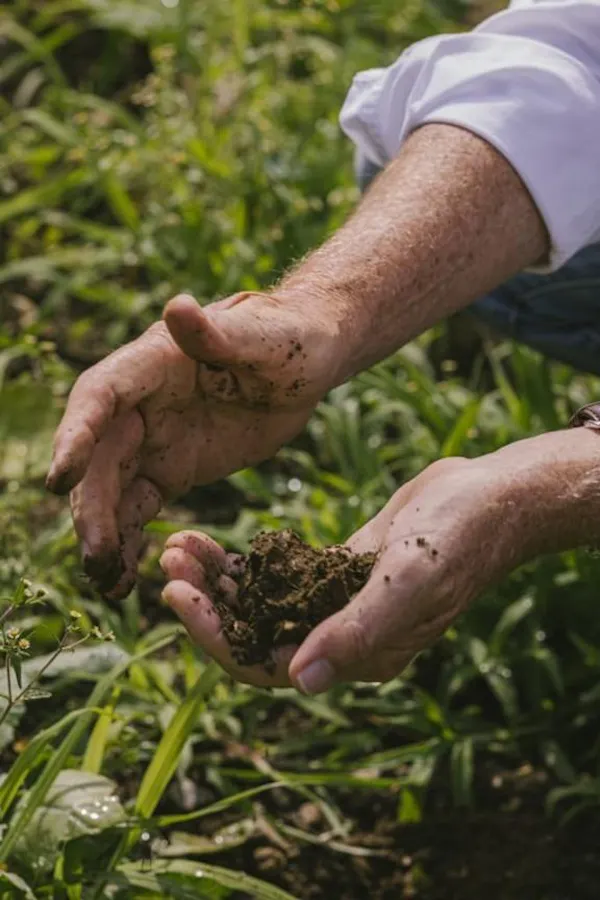 farmworker, agriculture, soil, plantation, field, agriculturist
