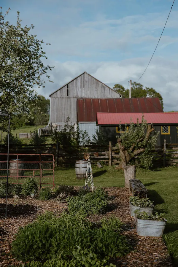 plants, rural area, garden, cottage, barn, yard