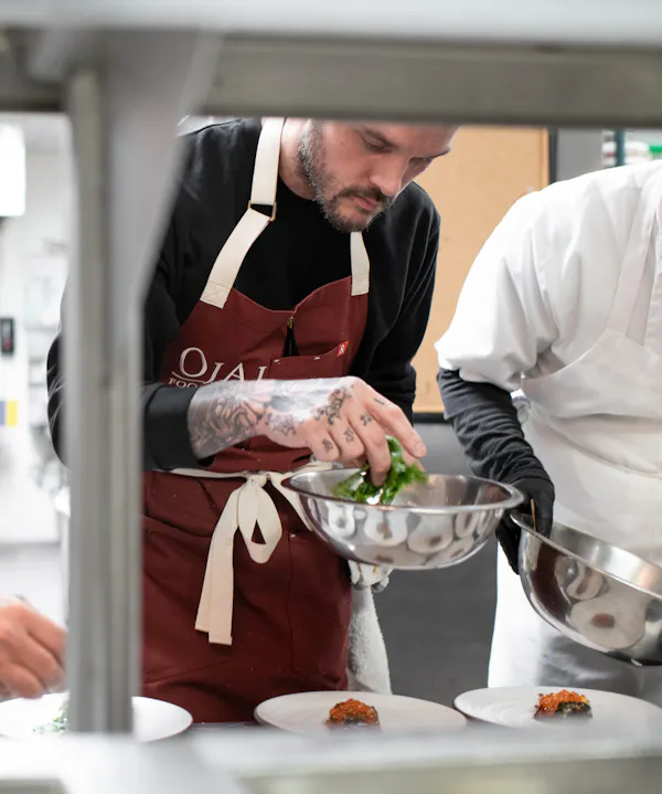 chef, cook, kitchen, cooking, apron, food