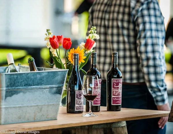 flower, table, bottle, plant, flowerpot, drinkware