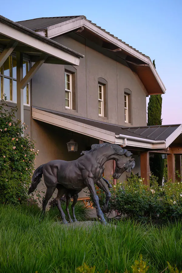 plant, property, window, sky, building, working animal