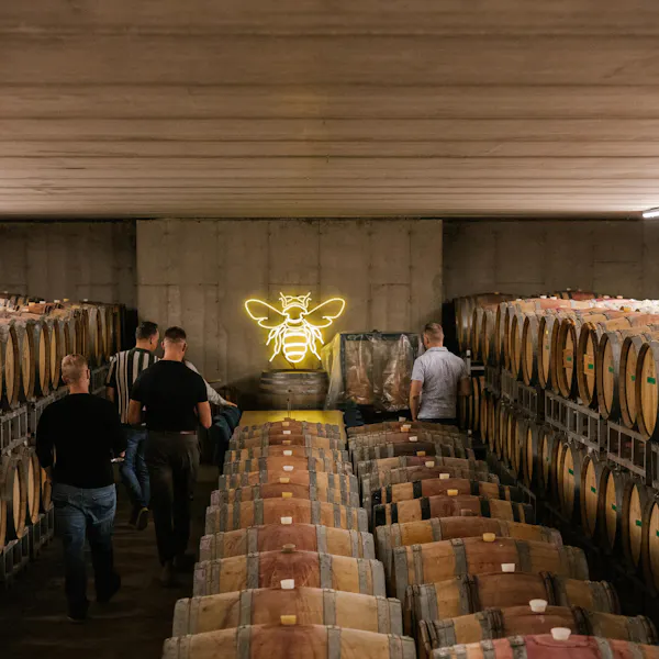 barrel, winery, wine cellar