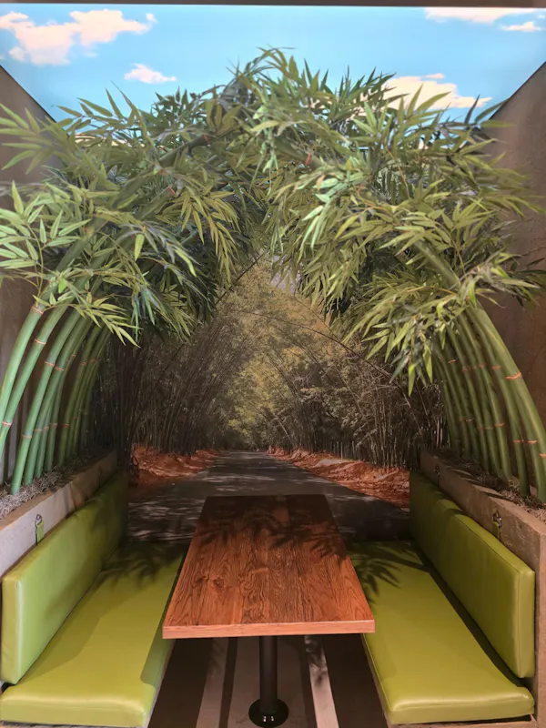 sky, cloud, plant, table, arecales, terrestrial plant
