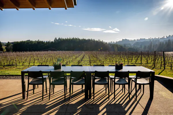 shade, chair, outdoor furniture, agriculture, plantation, outdoor table