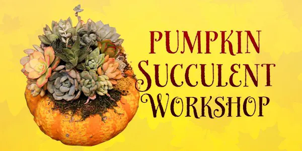 orange, calabaza, produce, pumpkin, winter squash, squash