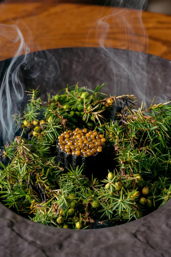 food, ingredient, terrestrial plant, plant, grass, flowering plant