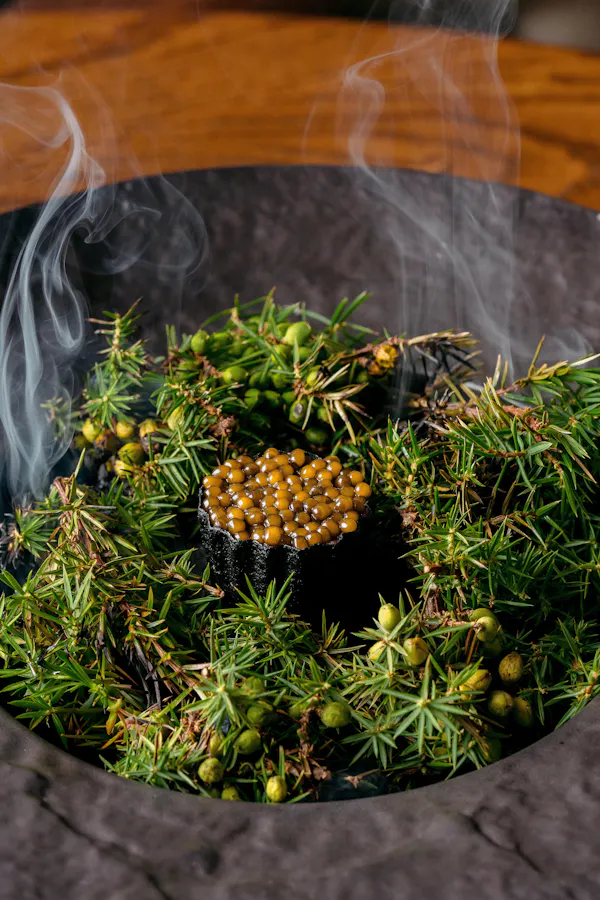 food, ingredient, terrestrial plant, plant, grass, flowering plant