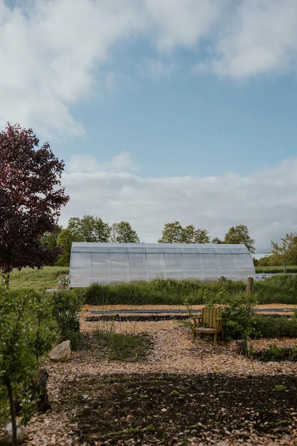 cloud, plantation, garden, cumulus, meteorological phenomenon, greenhouse