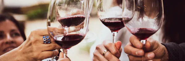 tableware, drinkware, stemware, wine, wine glass, barware